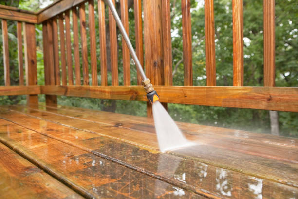 Best Dumpster Area Cleaning  in Largo, FL